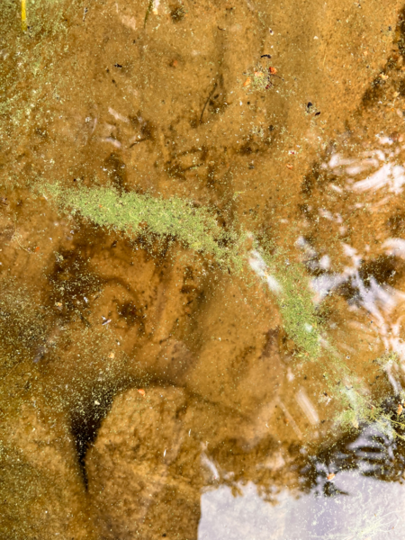 Tiedosto:Kynsivesi - Leivonvesi (14.352.1.001)-Saksalansaari-ObsALG-202507021200-68658eb32c80e.png