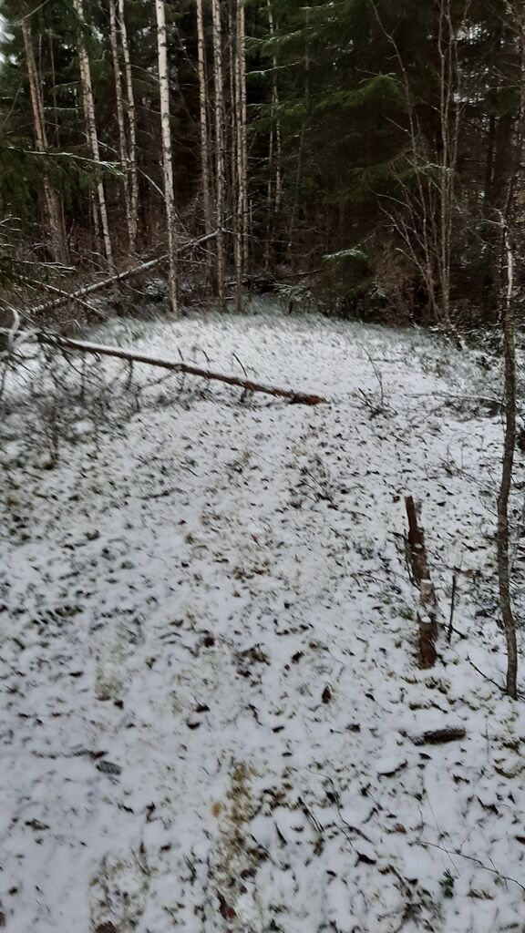 Muuratjärven lähialue (14.281)-Muuratjärvi, Niemelä-ObsSNOW-202012141453-1.jpg