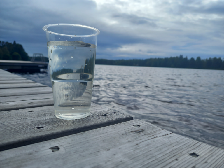 Pitkäjärvi (04.152.1.002)-Pitkäjärven uimaranta-ObsIMG-202109081437-6138a0e1e8b14.png