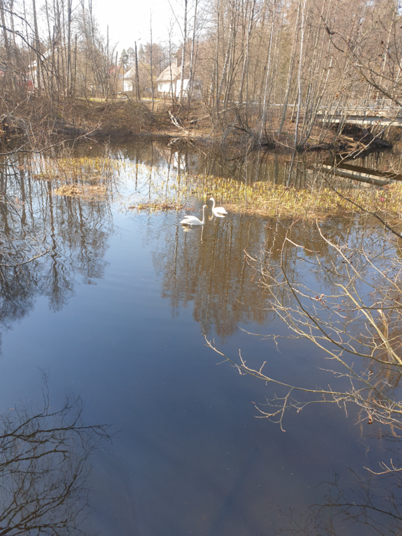 Urpolanjoen valuma-alue (04.152)-Yläputouksen Kävelysilta-ObsIMG-202304261040-6448d5393a5af.png