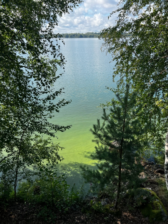 Vesijärvi (14.241.1.001)-Komontie 16 Hollola-ObsALG-202308251130-64e86eba8d03c.png