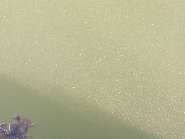 Hangon läntisen selän ulkosaaristoalue-Havaintopaikka 5-ObsIMG-202006260905-15.jpg