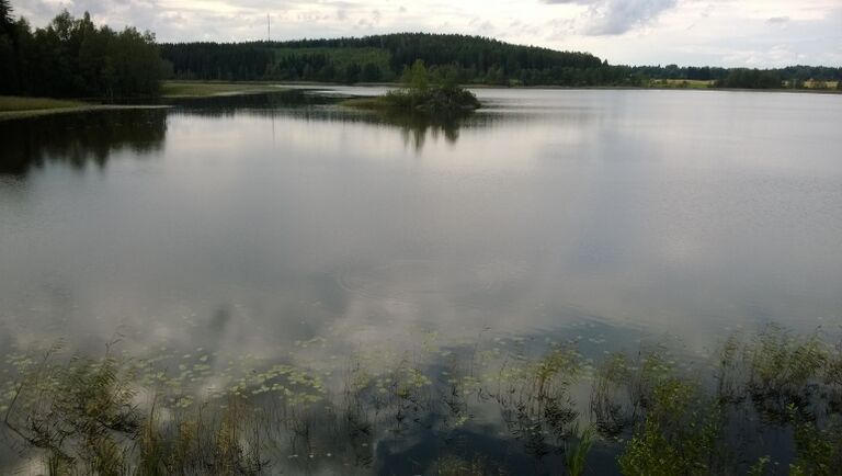 Iso-surnu lintutorni.jpg