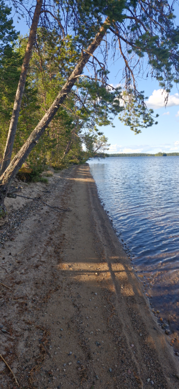 Muojärvi - Kirpistö (74.021.1.001)-Rajasaari-ObsIMG-202508081918-1754670166839.png