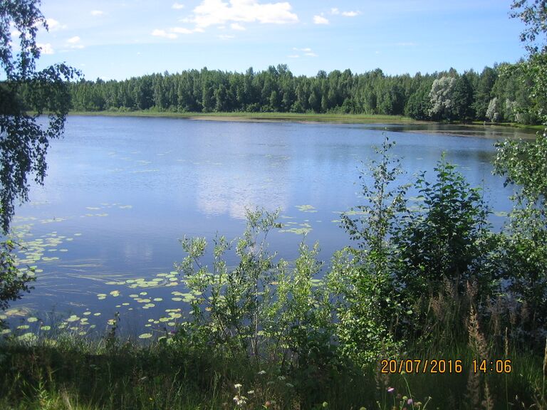 Vihajarvi pysakilta.JPG