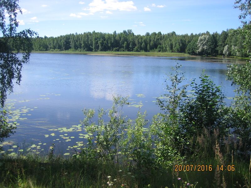 Tiedosto:Vihajarvi pysakilta.JPG