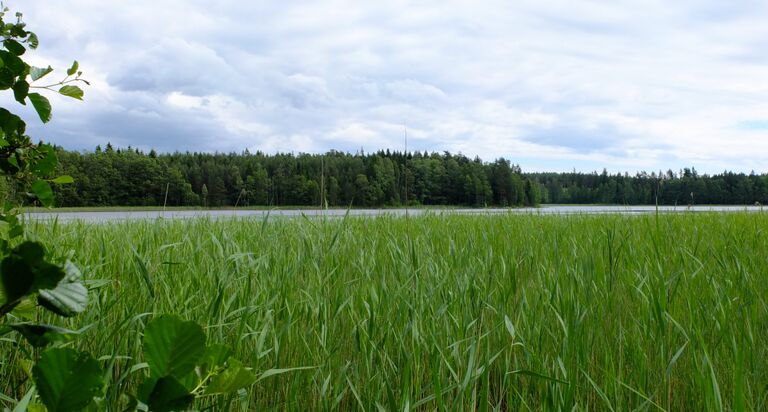 Hammarsboda trask2.jpg