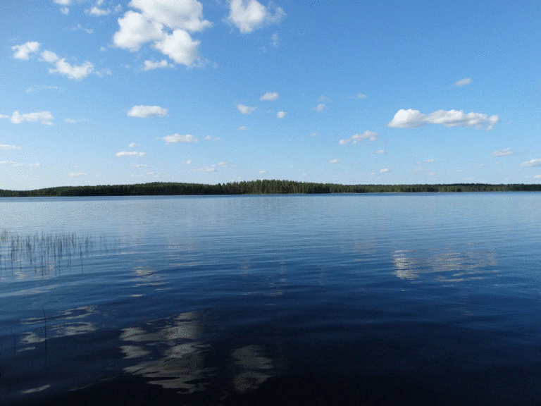 Iijärvi 1.gif