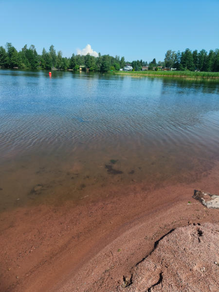 Tiedosto:Pyhäjärvi (34.031.1.001)-Valtakunnallinen sinileväseuranta (Katismaan uimaranta)-ObsALG-202507151148-1752569348383.png