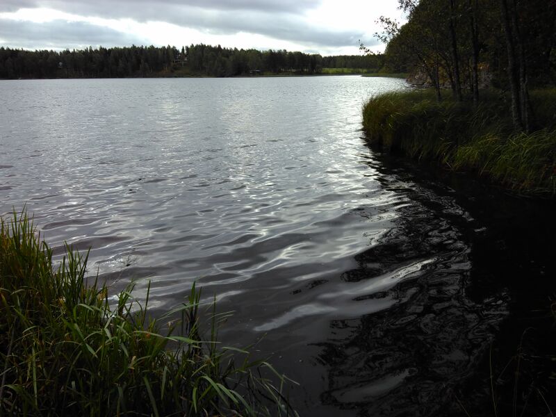 Tiedosto:Sahajärvi (81.057.1.033)-Ranta-ObsIMG-201709050925-12.jpg
