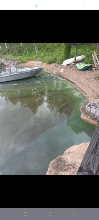 Vuohijärvi (14.912.1.001)-Havaintopaikka 5-ObsIMG-202507021856-1751471936014.png