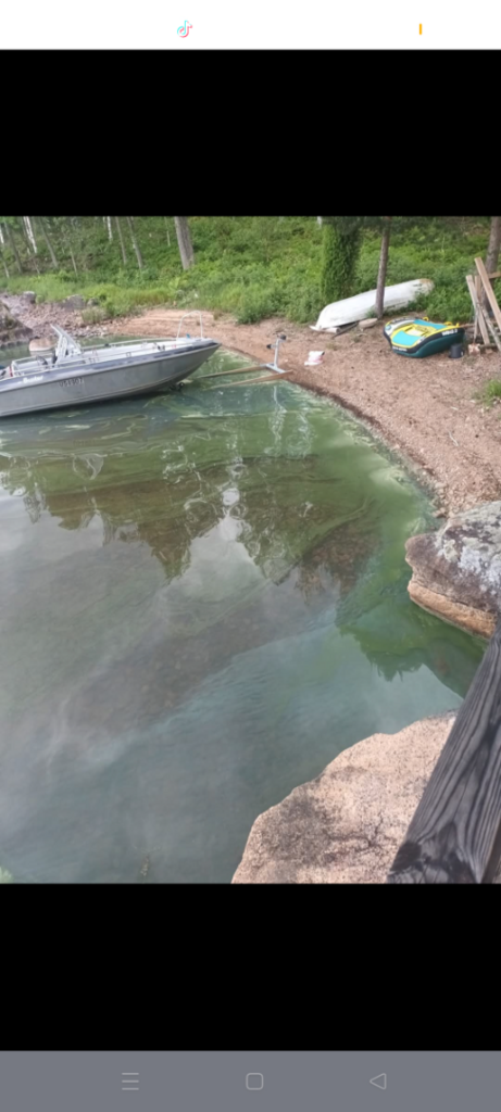 Vuohijärvi (14.912.1.001)-Havaintopaikka 5-ObsIMG-202507021856-1751471936014.png