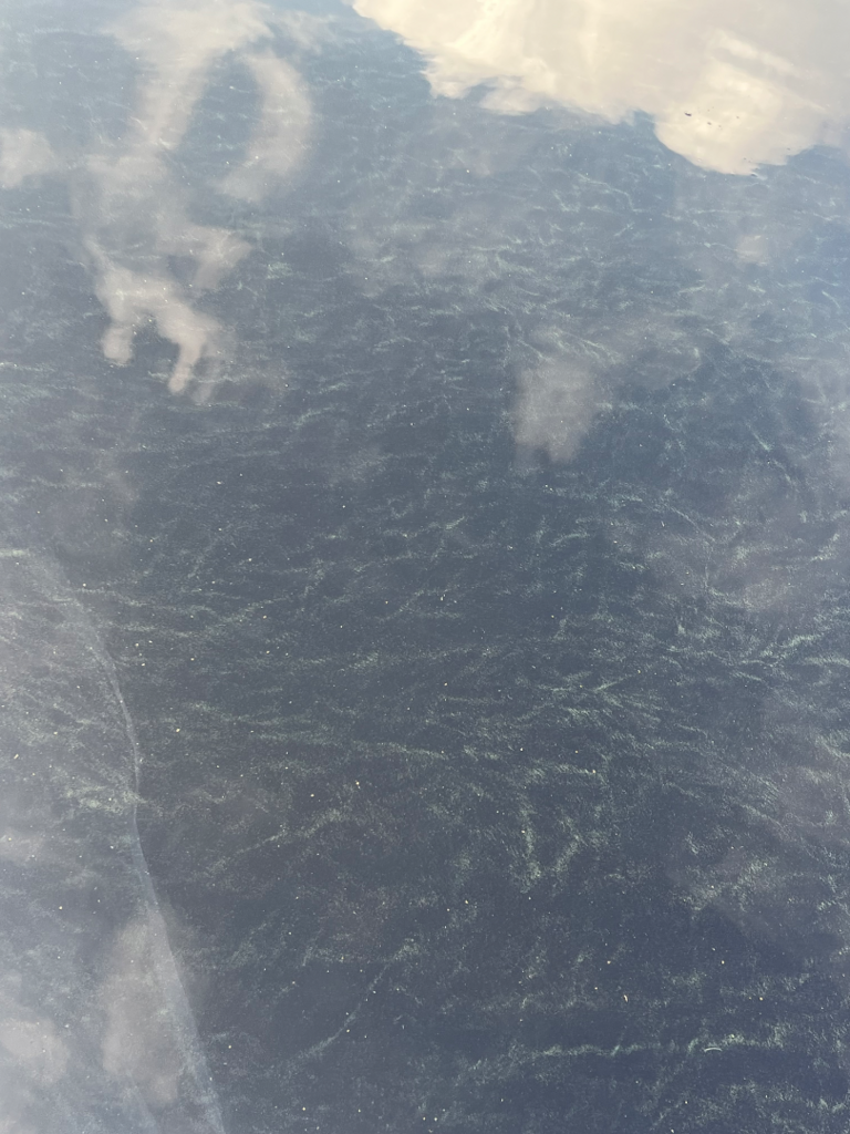 Ilvesjärvi (04.265.1.045)-Havaintopaikka 1-ObsIMG-202508100837-689830c0d82b7.png