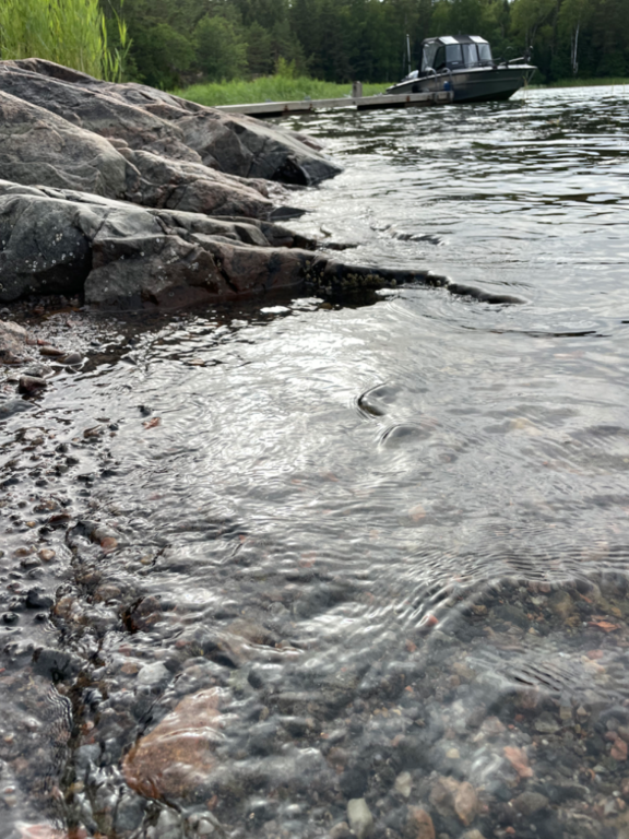 Inkoo Fagervik-Österviken, Jakob Ramsjö-ObsALG-202406301847-66817e5ca8f09.png