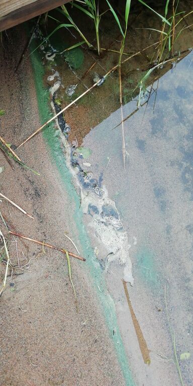 Rautavesi (14.831.1.001)-Rutjanmeri-ObsALG-201906271207-65.jpeg