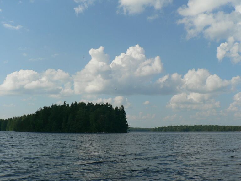 Sääkset kotisaarensa yllä.JPG