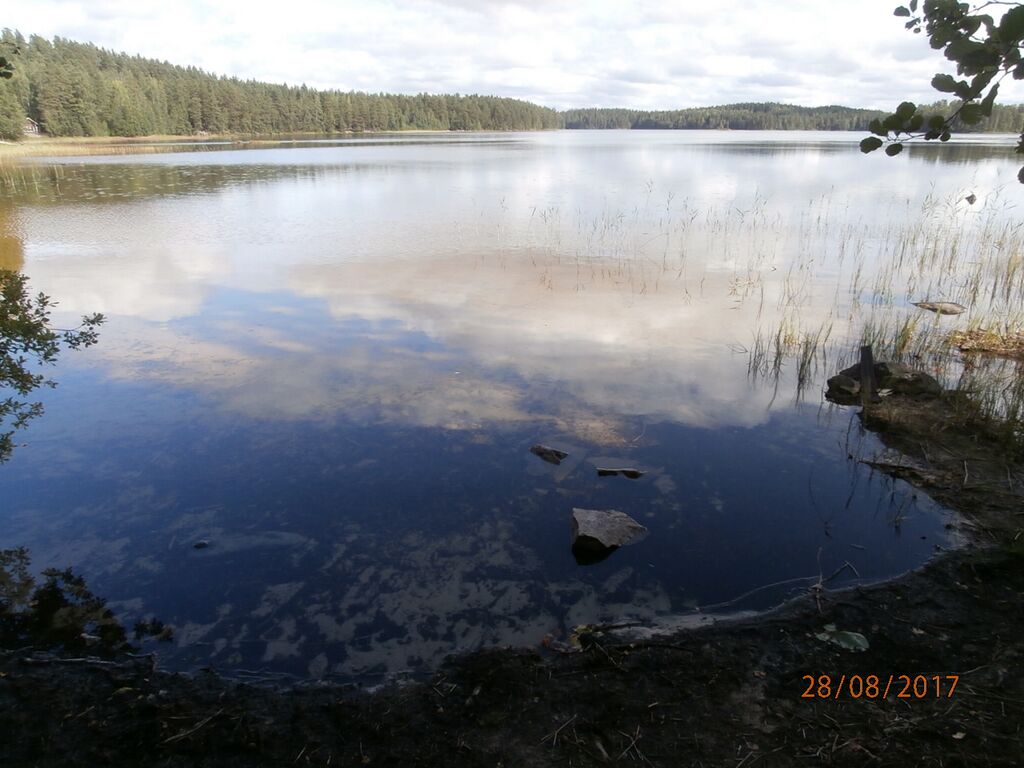 Tamakohtu nuotiopaikka.JPG