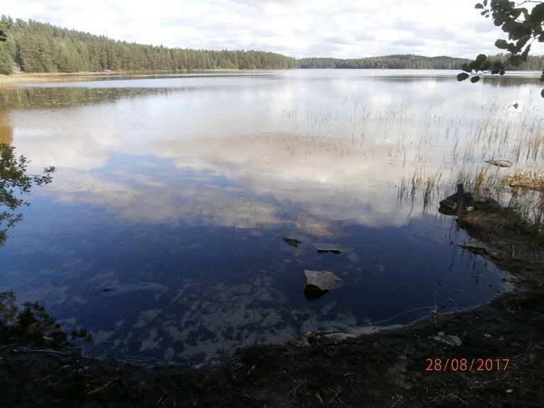 Tamakohtu nuotiopaikka.JPG