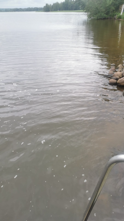 Köyliönjärvi (34.054.1.001)-Valtakunnallinen sinileväseuranta (Yttilän Otta)-ObsALG-202506241023-1750749844399.png