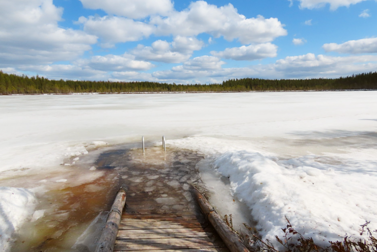 Lokkilampi (04.488.1.007)-Havaintopaikka 1-ObsIMG-202205091320-6278eaf3979f4.png