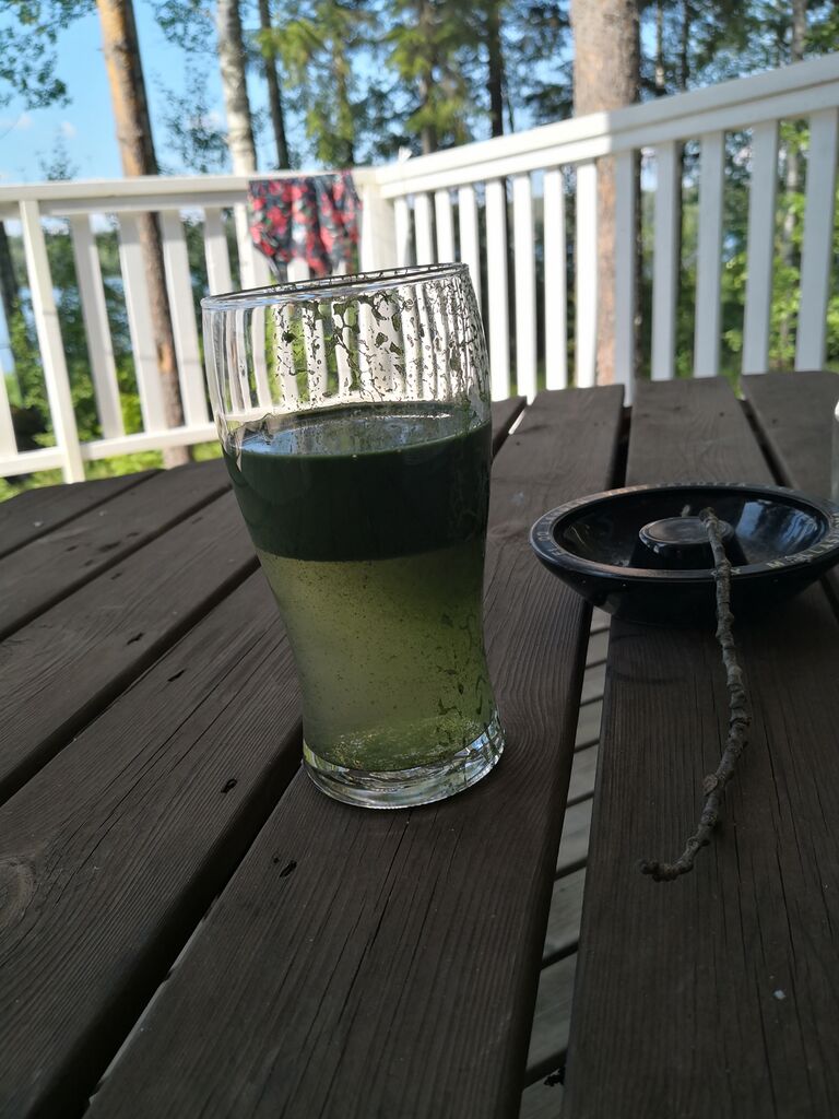 Pääjärvi (14.631.1.001)-Louhujärventie-ObsIMG-201907251218-68.jpg