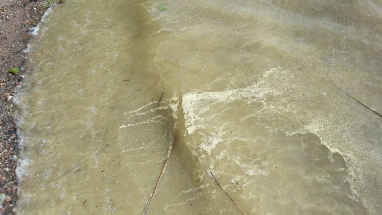 Villikkalanjärvi (16.003.1.003)-Valtakunnallinen sinileväseuranta-ObsALG-201705301449-73.jpg