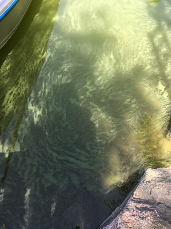 Dragsfjärdinlahti-Genbölen uimaranta-ObsIMG-201906301315-73.jpeg