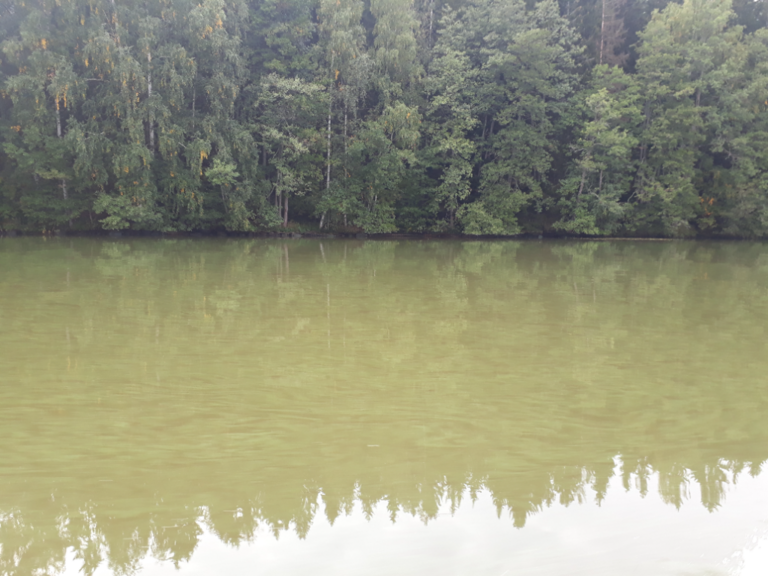 Hiidenveden lähialue (23.031)-Papinsaari-ObsALG-202109111640-613e045817306.png