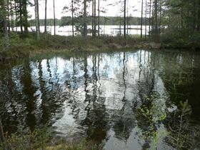 Matoniemen kannas.JPG