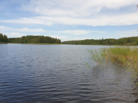 Paljavesi (04.112.1.436)-Hamppu-ObsIMG-202507201515-1753013983330.png