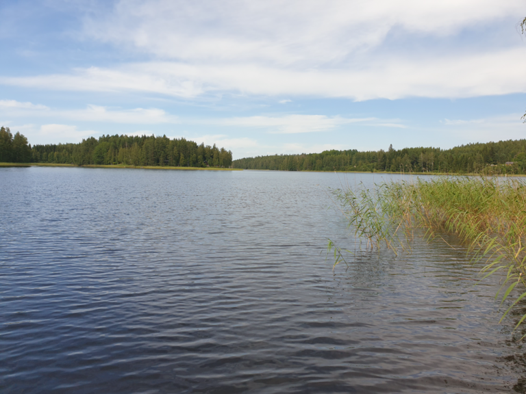 Paljavesi (04.112.1.436)-Hamppu-ObsIMG-202507201515-1753013983330.png