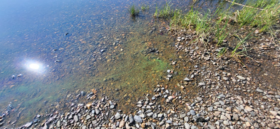 Pyhäselkä (Saimaa) (04.321.1.001)-Valtakunnallinen sinileväseuranta (Koivuniemen uimaranta)-ObsIMG-202306280915-649bd19c2c321.png