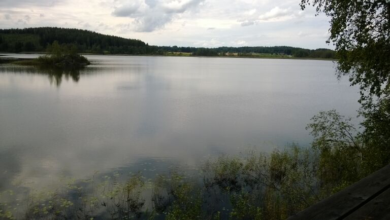 Iso-surnu lintutorni2.jpg