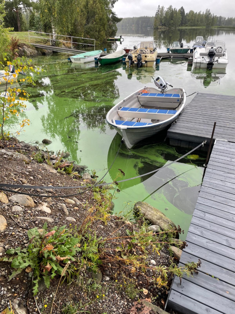 Karhiniemen alue (35.122)-Pälpälän uimaranta-ObsALG-202508311451-68b4380fe1429.png