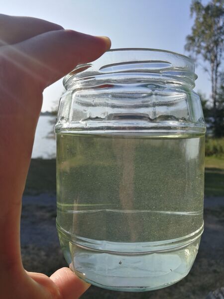 Tiedosto:Mayria 20210726 090056.jpg