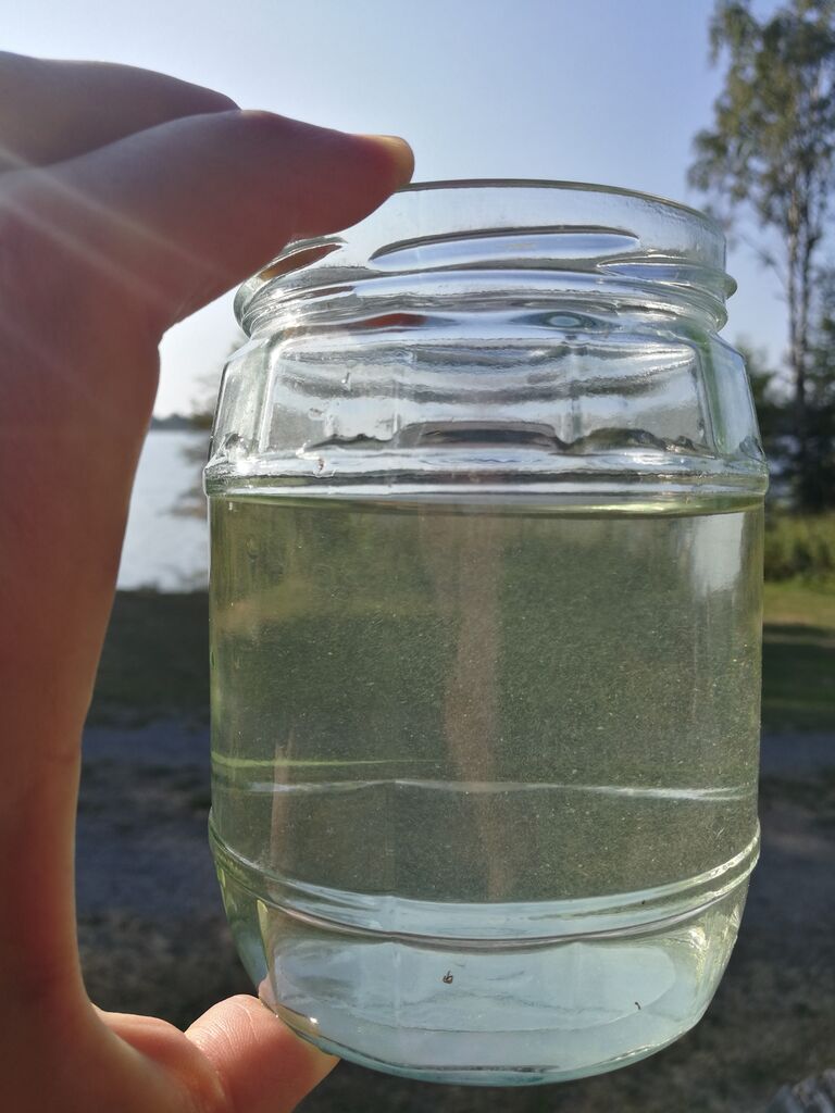 Mayria 20210726 090056.jpg