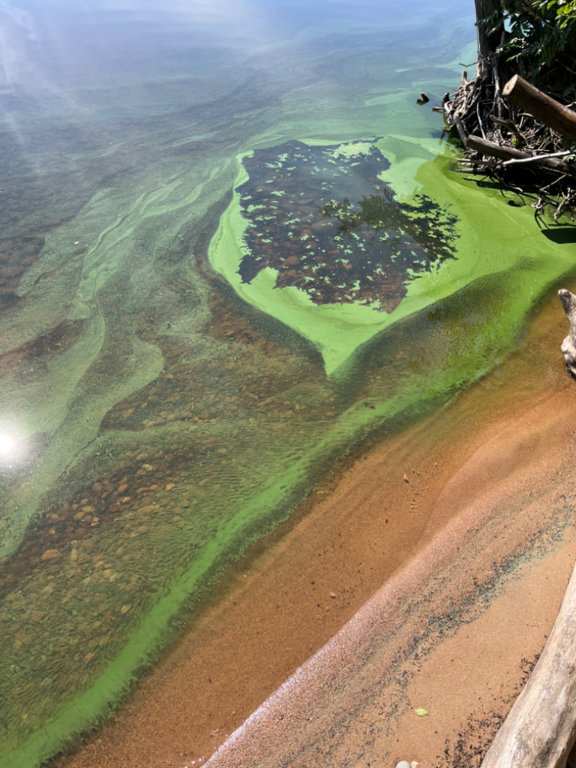 Oulujärvi (yhd.)-Paljakantörmä-ObsIMG-202307121831-64aec7f47e116.png