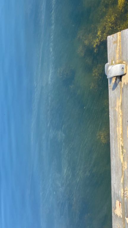 Porkkala-Jussarö-Rotarien sinileväseuranta (Gyltan)-ObsIMG-202406240938-667914cc0b7fe.png