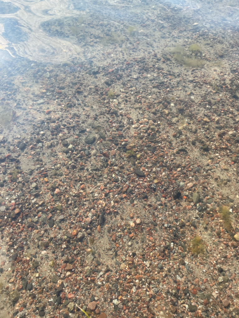 Hankoniemi W-Slaktis-ObsIMG-202507171749-68790dec75b78.png