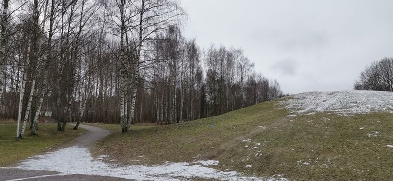 Tiedosto:Lohjanjärven lähialue (23.021)-Vuodinpuisto-ObsIMG-202101021616-83.jpeg
