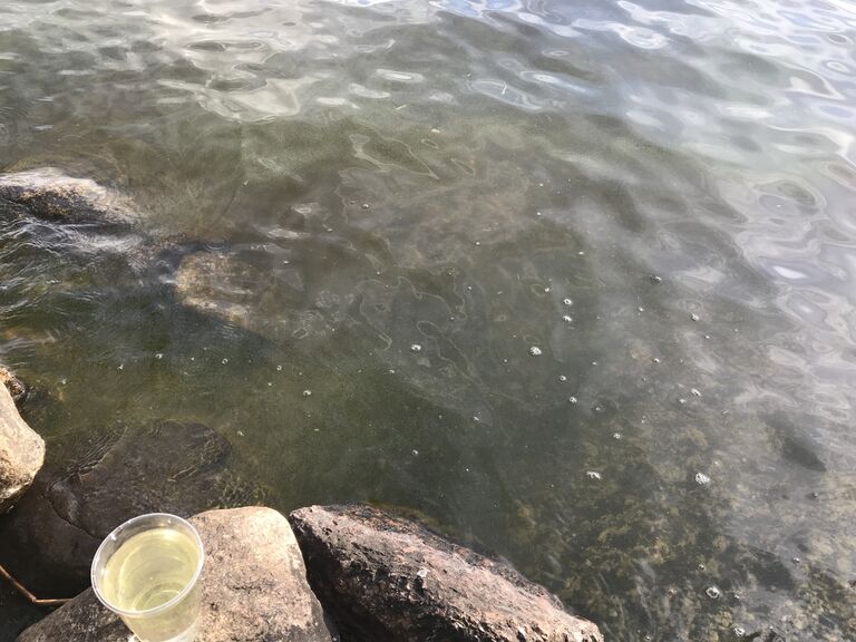 Päijänne (yhd.)-Juokslahti-ObsIMG-201806261919-15.jpg