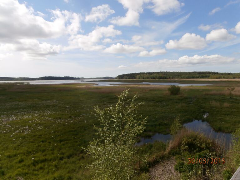 Ruskiksen lintutornista 2.JPG