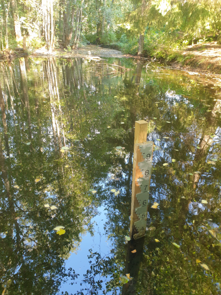 Tiedosto:Urpolanjoen valuma-alue (04.152)-Urpolan aarimaan puistoväylän silta-ObsIMG-202409211032-66eee3ee2def2.png