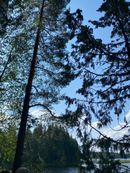 Havainto-Ylinen rautajärvi-ObsIMG-202407281020-66a5f2dbb7d13.png