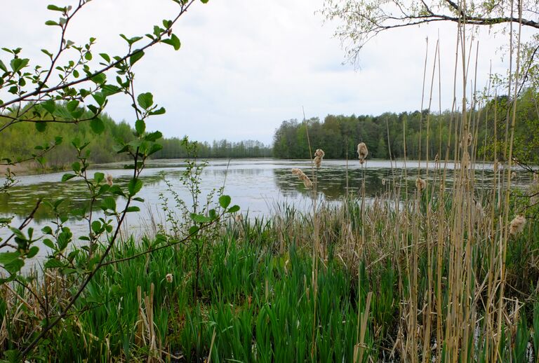 Kirkkojarvi Kuohunlahti 3.jpg