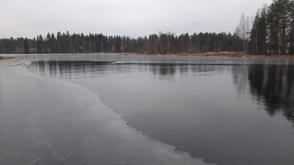 Kivijärven alue (14.443)-Kivijärvi, Lokalahti-ObsICE-202012110955-98.jpg