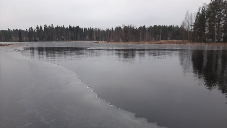 Kivijärven alue (14.443)-Kivijärvi, Lokalahti-ObsICE-202012110955-98.jpg