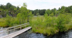 Lilla Masugnsträsket5.jpg