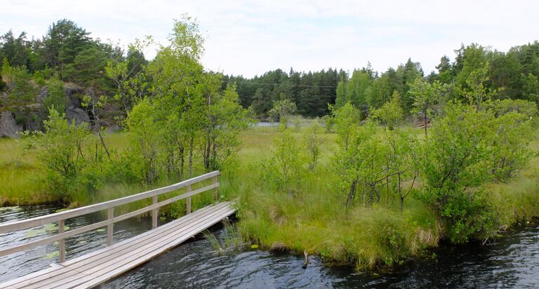 Lilla Masugnsträsket5.jpg