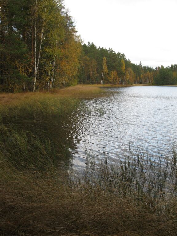 Pikku-Valkee lokakuussa.JPG